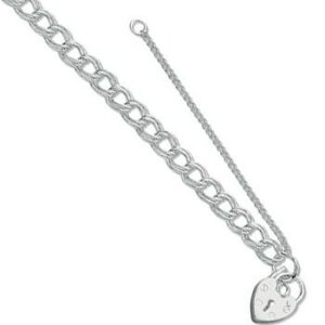 Silver Double Link Curb