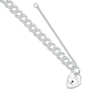 Silver Double Link Curb