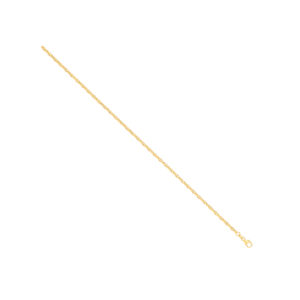 14ct Y/G Hollow Oval Puff Marine 2.7mm Chain